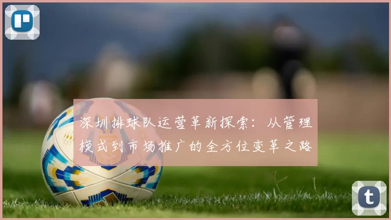 深圳排球队运营革新探索：从管理模式到市场推广的全方位变革之路