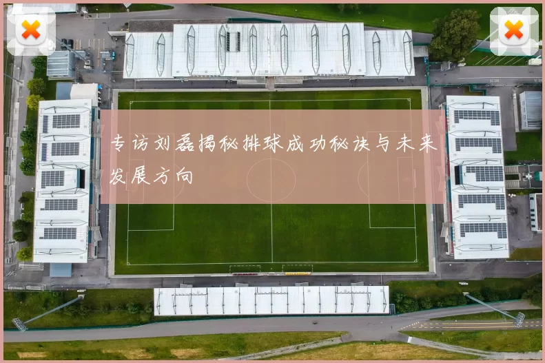 专访刘磊揭秘排球成功秘诀与未来发展方向