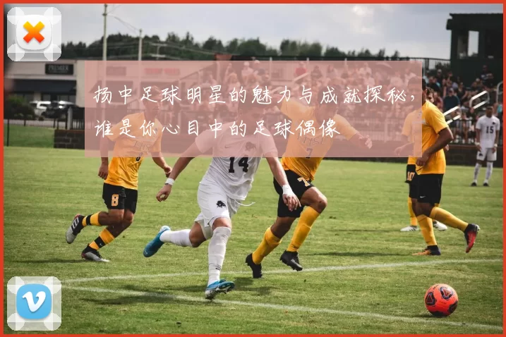 扬中足球明星的魅力与成就探秘，谁是你心目中的足球偶像