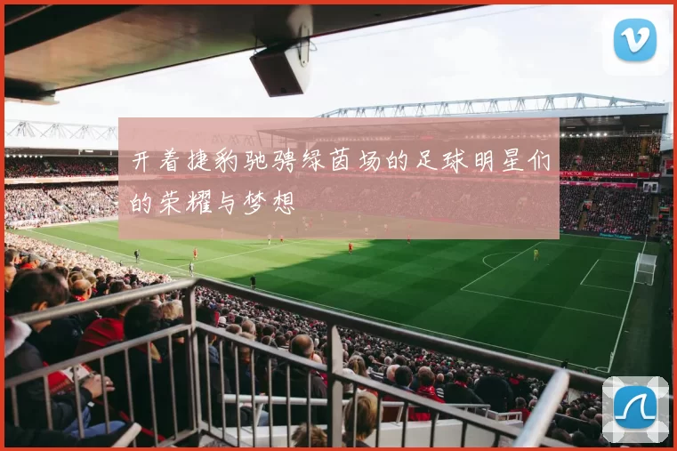 开着捷豹驰骋绿茵场的足球明星们的荣耀与梦想