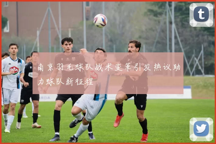 南京羽毛球队战术变革引发热议助力球队新征程