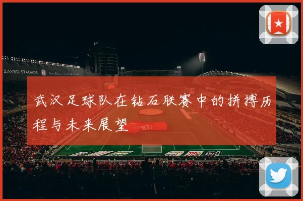 武汉足球队在钻石联赛中的拼搏历程与未来展望