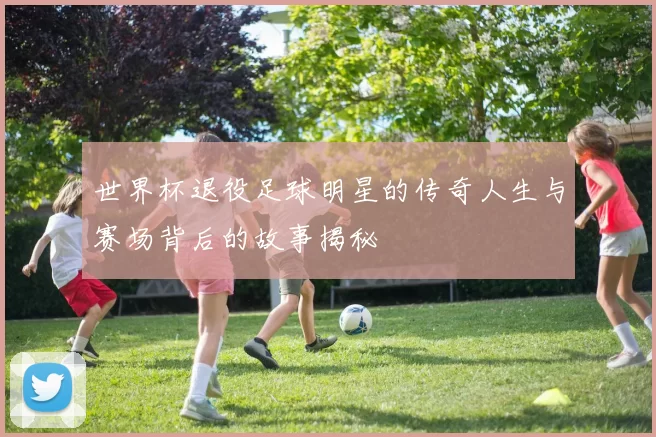 世界杯退役足球明星的传奇人生与赛场背后的故事揭秘