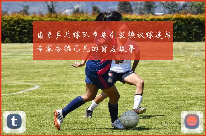 南京乒乓球队节奏引发热议球迷与专家各执己见的背后故事