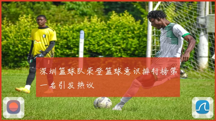 深圳篮球队荣登篮球意识排行榜第一名引发热议