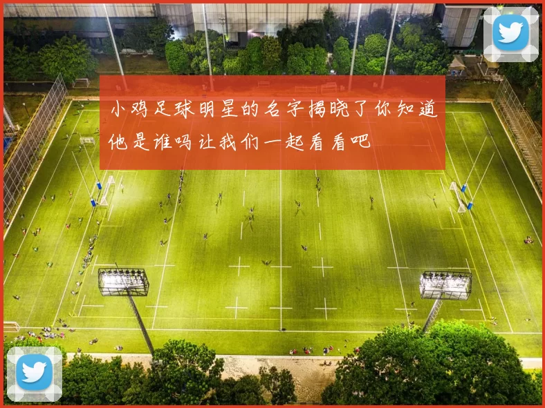 小鸡足球明星的名字揭晓了你知道他是谁吗让我们一起看看吧
