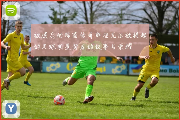 被遗忘的绿茵传奇那些无法被提起的足球明星背后的故事与荣耀