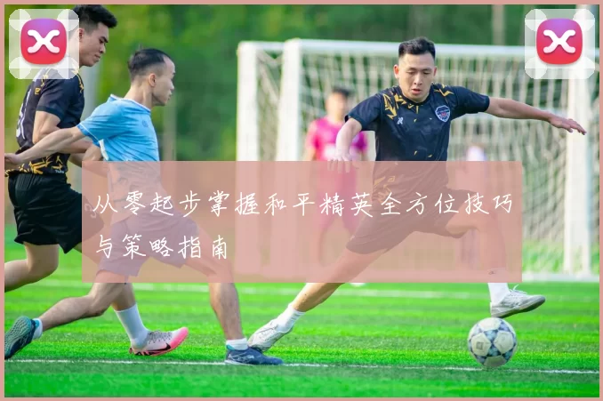 从零起步掌握和平精英全方位技巧与策略指南
