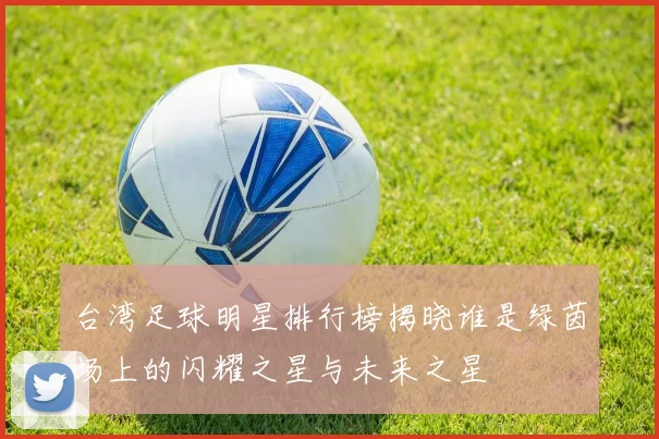 台湾足球明星排行榜揭晓谁是绿茵场上的闪耀之星与未来之星