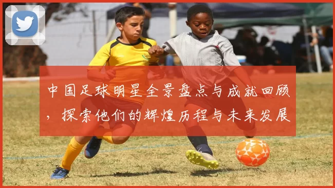 中国足球明星全景盘点与成就回顾，探索他们的辉煌历程与未来发展方向