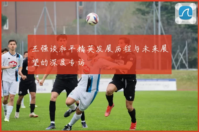 王强谈和平精英发展历程与未来展望的深度专访