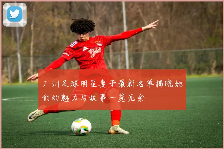 广州足球明星妻子最新名单揭晓她们的魅力与故事一览无余