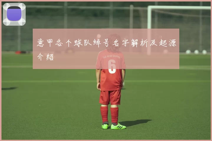 意甲各个球队绰号名字解析及起源介绍