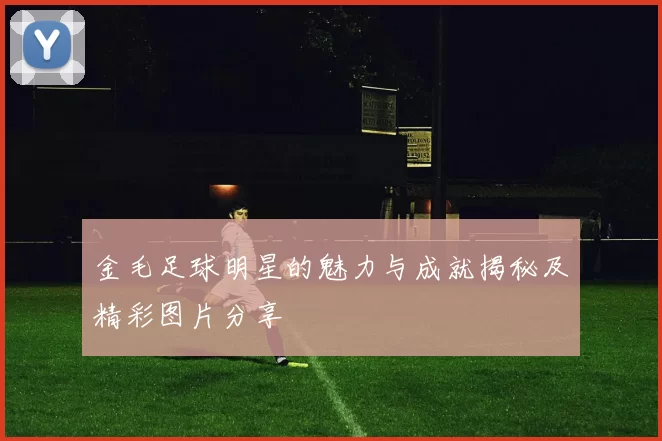 金毛足球明星的魅力与成就揭秘及精彩图片分享