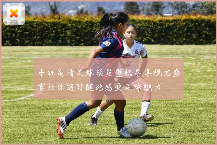 手机高清足球明星壁纸尽享视觉盛宴让你随时随地感受足球魅力