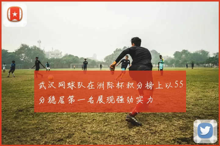 武汉网球队在洲际杯积分榜上以55分稳居第一名展现强劲实力