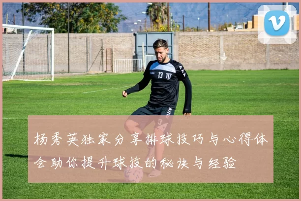 杨秀英独家分享排球技巧与心得体会助你提升球技的秘诀与经验