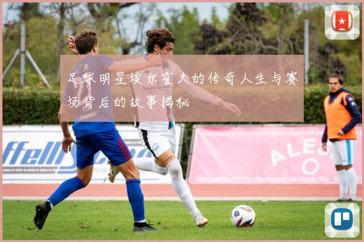 足球明星埃尔霍夫的传奇人生与赛场背后的故事揭秘