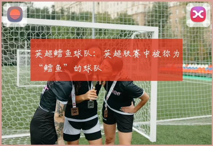 英超鳕鱼球队：英超联赛中被称为“鳕鱼”的球队