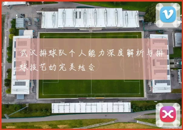 武汉排球队个人能力深度解析与排球技艺的完美结合