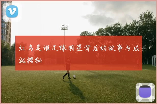 红鸟是谁足球明星背后的故事与成就揭秘