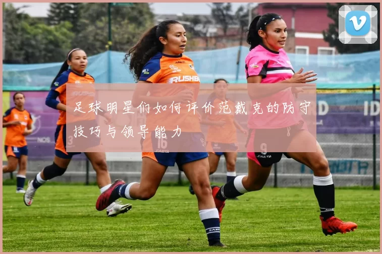 足球明星们如何评价范戴克的防守技巧与领导能力