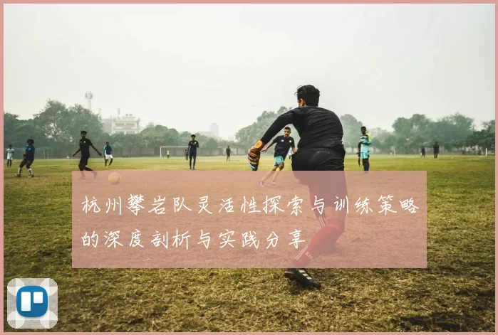 杭州攀岩队灵活性探索与训练策略的深度剖析与实践分享